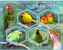 Fauna Parrots