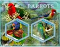 Fauna Parrots