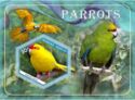 Fauna Parrots
