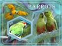 Fauna Parrots