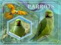 Fauna Parrots