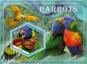 Fauna Parrots