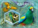 Fauna Parrots