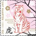 Year of the Tiger 2022