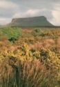 Benbulbin Mountain, Co. Sligo