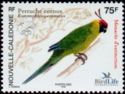 Horned Parakeet (Eunymphicus cornutus)