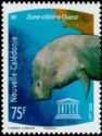 West Indian Manatee (Trichechus manatus)