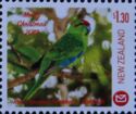 Red-crowned Parakeet (Cyanoramphus novaezelandiae)