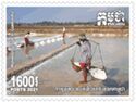 Saltmaking In Cambodia