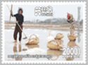 Saltmaking In Cambodia