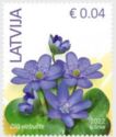 Liverleaf (Hepatica nobilis)