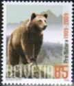 Brown Bear (Ursus arctos)