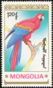 Scarlet Macaw (Ara macao)