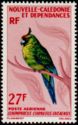 Ouvea Parakeet (Eunymphicus cornutus uveaensis)