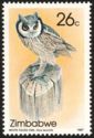 Northern White-faced Owl (Ptilopsis leucotis)