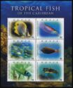 Tropical Fish of the Caribbean
