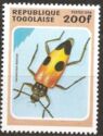 Long-horned Beetle (Semanotus russicus)