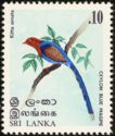 Ceylon Blue Magpie (Kitta ornata)
