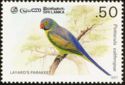Layard's Parakeet (Psittacula calthorpae)