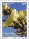 Erythrina tahitensis
