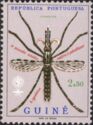 Anopheles Mosquito (Anopheles sp.)
