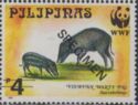Visayan Warty Pig (Sus cebifrons)