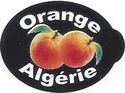 Orange algerie