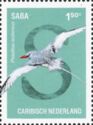 Red-Billed tropicbird (Phaethon aethereus)