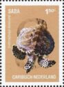 Hawksbill Sea Turtle (Eretmochelys imbricata)
