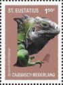 Lesser Antillean Iguana (Iguana delicatissima)