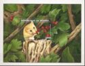 Hazel dormouse (Muscardinus avellanarius)