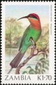 Böhm's Bee-eater (Merops boehmi)