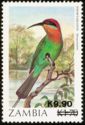 Böhm's Bee-eater (Merops boehmi)