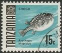 Shogo - White-spotted Puffer (Arothron hispidus)