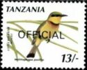 Little Bee-eater (Melittophagus pusillus)