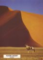 Namib desert