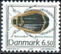 Diving Beetle (Dytiscus latissimus)