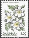 European Wood Anemone (Anemone nemorosa)