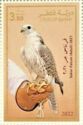 Saker falcon (Falco cherrug) with Gold Frame
