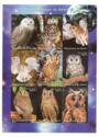 Owls
