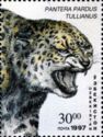Anatolian Leopard (Panthera pardus tulliana)
