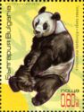 Giant Panda (Ailuropoda melanoleuca)