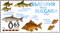 Freshwater Bream, Barbel, Grass Carp, Common Carp, Crucian C