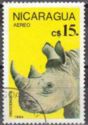 White Rhinoceros (Ceratotherium simum)