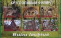 Owls Bubu lacteus