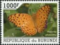 Spotted Rustic Butterfly (Phalanta phalantha)
