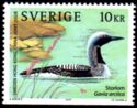 Black-throated Loon (Gavia arctica)