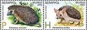 Fauna of Belarus - Hedgehogs (2012)