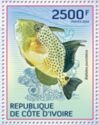 Bluespotted triggerfish (Balistes punctatus)