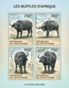 African Buffalo (Syncerus caffer)